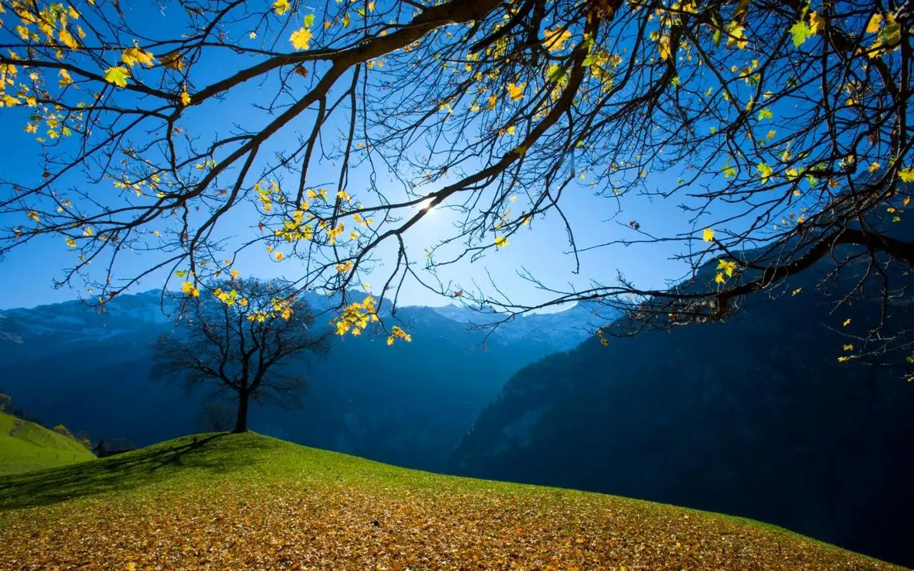 数字化智能系统高效